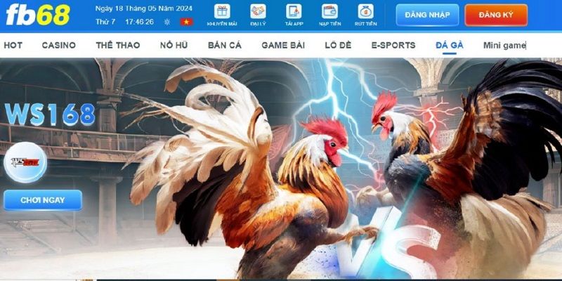 Chia sẻ luật lệ tham gia cá cược đá gà live tại FB68